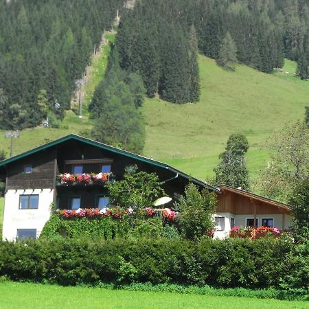 Ferienhaus Regina Werfenweng Buitenkant foto