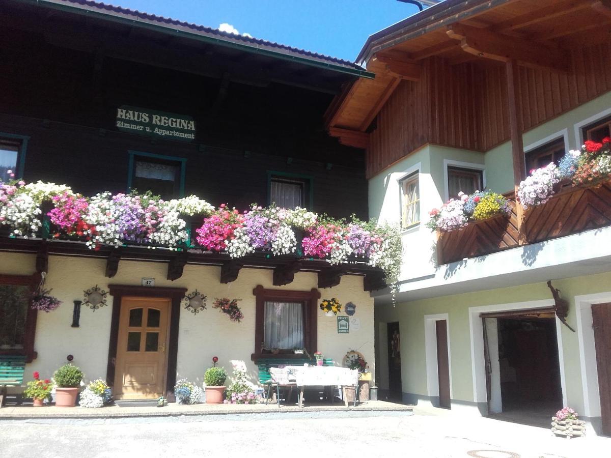 Ferienhaus Regina Werfenweng Buitenkant foto