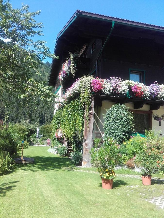 Ferienhaus Regina Werfenweng Buitenkant foto